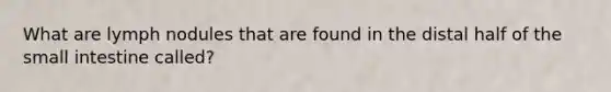 What are lymph nodules that are found in the distal half of <a href='https://www.questionai.com/knowledge/kt623fh5xn-the-small-intestine' class='anchor-knowledge'>the small intestine</a> called?
