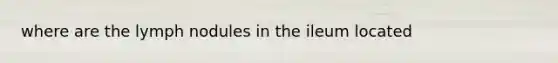 where are the lymph nodules in the ileum located