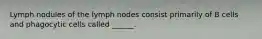 Lymph nodules of the lymph nodes consist primarily of B cells and phagocytic cells called ______.