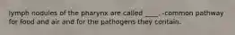 lymph nodules of the pharynx are called ____. -common pathway for food and air and for the pathogens they contain.