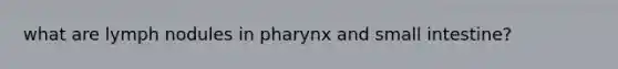 what are lymph nodules in pharynx and small intestine?