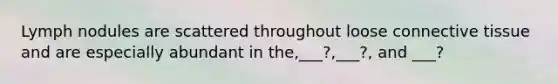 Lymph nodules are scattered throughout loose connective tissue and are especially abundant in the,___?,___?, and ___?