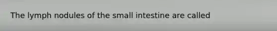 The lymph nodules of the small intestine are called