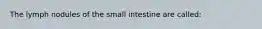 The lymph nodules of the small intestine are called: