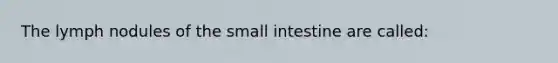 The lymph nodules of the small intestine are called: