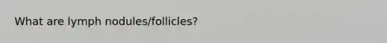 What are lymph nodules/follicles?