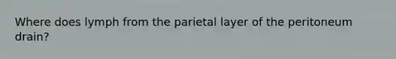 Where does lymph from the parietal layer of the peritoneum drain?