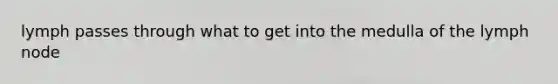 lymph passes through what to get into the medulla of the lymph node
