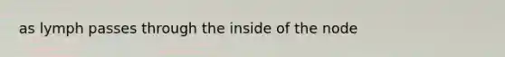 as lymph passes through the inside of the node