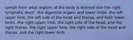 Lymph from what regions of the body is drained into the right lymphatic duct? -the digestive organs and lower limbs -the left upper limb, the left side of the head and thorax, and both lower limbs -the right upper limb, the right side of the head, and the right thorax -the right upper limb, the right side of the head and thorax, and the right lower limb