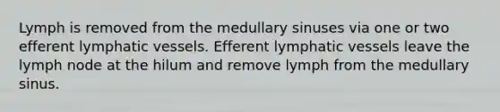 Lymph is removed from the medullary sinuses via one or two efferent lymphatic vessels. Efferent lymphatic vessels leave the lymph node at the hilum and remove lymph from the medullary sinus.