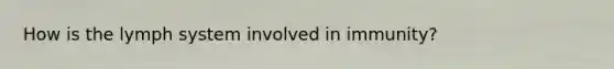 How is the lymph system involved in immunity?