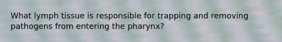 What lymph tissue is responsible for trapping and removing pathogens from entering <a href='https://www.questionai.com/knowledge/ktW97n6hGJ-the-pharynx' class='anchor-knowledge'>the pharynx</a>?