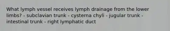 What lymph vessel receives lymph drainage from the lower limbs? - subclavian trunk - cysterna chyli - jugular trunk - intestinal trunk - right lymphatic duct