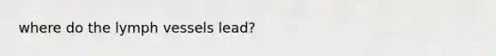 where do the lymph vessels lead?