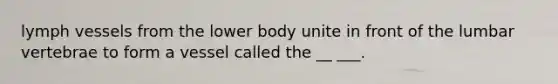 lymph vessels from the lower body unite in front of the lumbar vertebrae to form a vessel called the __ ___.