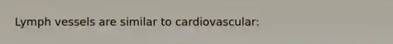 Lymph vessels are similar to cardiovascular: