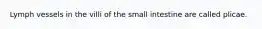 Lymph vessels in the villi of the small intestine are called plicae.