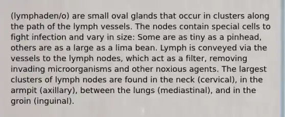 (lymphaden/o) are small oval glands that occur in clusters along the path of the lymph vessels. The nodes contain special cells to fight infection and vary in size: Some are as tiny as a pinhead, others are as a large as a lima bean. Lymph is conveyed via the vessels to the lymph nodes, which act as a filter, removing invading microorganisms and other noxious agents. The largest clusters of lymph nodes are found in the neck (cervical), in the armpit (axillary), between the lungs (mediastinal), and in the groin (inguinal).