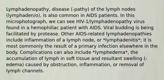 Lymphadenopathy, disease (-pathy) of the lymph nodes (lymphaden/o), is also common in AIDS patients. In this microphotograph, we can see HIV-1/lymphadenopathy virus found in a hemophiliac patient with AIDS. Viral budding is being facilitated by protease. Other AIDS-related lymphadenopathies include inflammation of a lymph node, or *lymphadenitis*; it is most commonly the result of a primary infection elsewhere in the body. Complications can also include *lymphedema*, the accumulation of lymph in soft tissue and resultant swelling (-edema) caused by obstruction, inflammation, or removal of lymph channels.