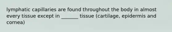 lymphatic capillaries are found throughout the body in almost every tissue except in _______ tissue (cartilage, epidermis and cornea)