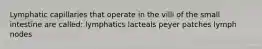 Lymphatic capillaries that operate in the villi of the small intestine are called: lymphatics lacteals peyer patches lymph nodes