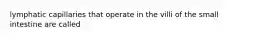 lymphatic capillaries that operate in the villi of the small intestine are called