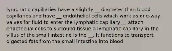 lymphatic capillaries have a slightly __ diameter than blood capillaries and have __ endothelial cells which work as one-way valves for fluid to enter the lymphatic capillary __ attach endothelial cells to surround tissue a lymphatic capillary in the villus of the small intestine is the __. It functions to transport digested fats from the small intestine into blood