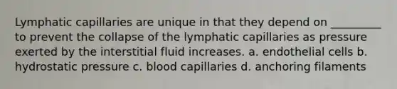 Lymphatic capillaries are unique in that they depend on _________ to prevent the collapse of the lymphatic capillaries as pressure exerted by the interstitial fluid increases. a. endothelial cells b. hydrostatic pressure c. blood capillaries d. anchoring filaments