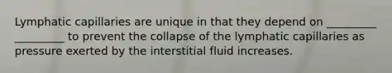 Lymphatic capillaries are unique in that they depend on _________ _________ to prevent the collapse of the lymphatic capillaries as pressure exerted by the interstitial fluid increases.