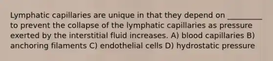 Lymphatic capillaries are unique in that they depend on _________ to prevent the collapse of the lymphatic capillaries as pressure exerted by the interstitial fluid increases. A) blood capillaries B) anchoring filaments C) endothelial cells D) hydrostatic pressure