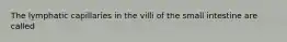 The lymphatic capillaries in the villi of the small intestine are called