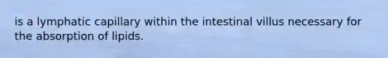 is a lymphatic capillary within the intestinal villus necessary for the absorption of lipids.