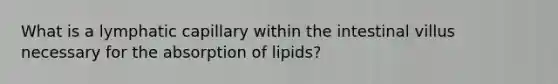 What is a lymphatic capillary within the intestinal villus necessary for the absorption of lipids?