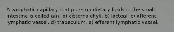 A lymphatic capillary that picks up dietary lipids in the small intestine is called a(n) a) cisterna chyli. b) lacteal. c) afferent lymphatic vessel. d) trabeculum. e) efferent lymphatic vessel.