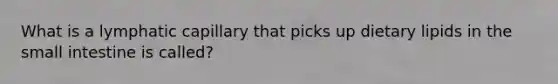 What is a lymphatic capillary that picks up dietary lipids in the small intestine is called?