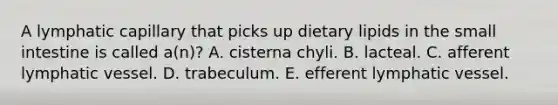 A lymphatic capillary that picks up dietary lipids in the small intestine is called a(n)? A. cisterna chyli. B. lacteal. C. afferent lymphatic vessel. D. trabeculum. E. efferent lymphatic vessel.