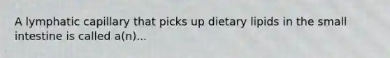 A lymphatic capillary that picks up dietary lipids in <a href='https://www.questionai.com/knowledge/kt623fh5xn-the-small-intestine' class='anchor-knowledge'>the small intestine</a> is called a(n)...