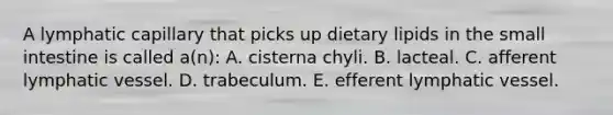 A lymphatic capillary that picks up dietary lipids in the small intestine is called a(n): A. cisterna chyli. B. lacteal. C. afferent lymphatic vessel. D. trabeculum. E. efferent lymphatic vessel.