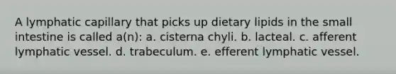 A lymphatic capillary that picks up dietary lipids in the small intestine is called a(n): a. cisterna chyli. b. lacteal. c. afferent lymphatic vessel. d. trabeculum. e. efferent lymphatic vessel.