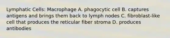 Lymphatic Cells: Macrophage A. phagocytic cell B. captures antigens and brings them back to lymph nodes C. fibroblast-like cell that produces the reticular fiber stroma D. produces antibodies