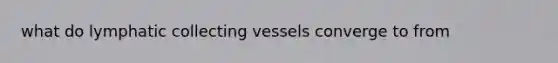 what do lymphatic collecting vessels converge to from