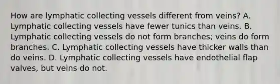 How are lymphatic collecting vessels different from veins? A. Lymphatic collecting vessels have fewer tunics than veins. B. Lymphatic collecting vessels do not form branches; veins do form branches. C. Lymphatic collecting vessels have thicker walls than do veins. D. Lymphatic collecting vessels have endothelial flap valves, but veins do not.