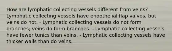 How are lymphatic collecting vessels different from veins? - Lymphatic collecting vessels have endothelial flap valves, but veins do not. - Lymphatic collecting vessels do not form branches; veins do form branches. - Lymphatic collecting vessels have fewer tunics than veins. - Lymphatic collecting vessels have thicker walls than do veins.