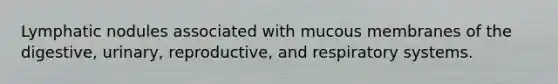 Lymphatic nodules associated with mucous membranes of the digestive, urinary, reproductive, and respiratory systems.