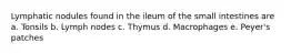 Lymphatic nodules found in the ileum of the small intestines are a. Tonsils b. Lymph nodes c. Thymus d. Macrophages e. Peyer's patches