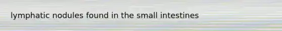 lymphatic nodules found in the small intestines