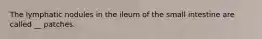 The lymphatic nodules in the ileum of the small intestine are called __ patches.