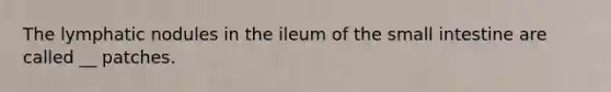 The lymphatic nodules in the ileum of the small intestine are called __ patches.