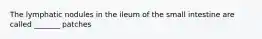 The lymphatic nodules in the ileum of the small intestine are called _______ patches